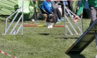 Agi_haag_30-04-2017336