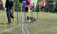 Agi_haag_30-04-2017351
