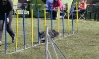 Agi_haag_30-04-2017352