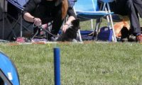 Agi_haag_30-04-2017364