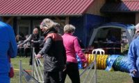 Agi_haag_30-04-2017378