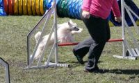 Agi_haag_30-04-2017399