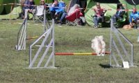 Agi_haag_30-04-2017403