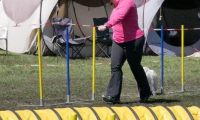 Agi_haag_30-04-2017407
