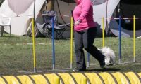 Agi_haag_30-04-2017408
