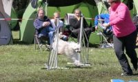 Agi_haag_30-04-2017410