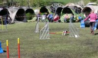 Agi_haag_30-04-2017422