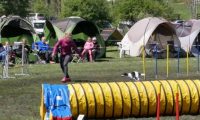 Agi_haag_30-04-2017430