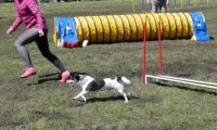 Agi_haag_30-04-2017431