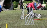 Agi_haag_30-04-2017441