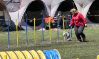 Agi_haag_30-04-2017442
