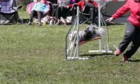 Agi_haag_30-04-2017446