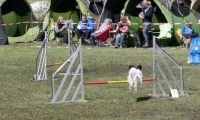 Agi_haag_30-04-2017464