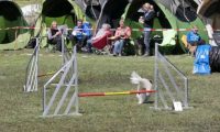 Agi_haag_30-04-2017466