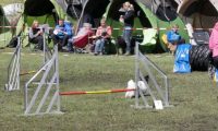 Agi_haag_30-04-2017467