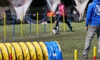 Agi_haag_30-04-2017471