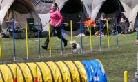 Agi_haag_30-04-2017473
