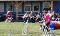 Agi_haag_30-04-2017479