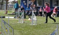 Agi_haag_30-04-2017481