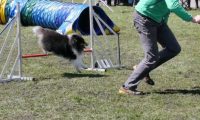 Agi_haag_30-04-2017484