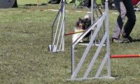 Agi_haag_30-04-2017490