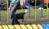Agi_haag_30-04-2017494