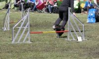 Agi_haag_30-04-2017507