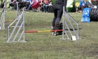 Agi_haag_30-04-2017508
