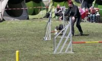 Agi_haag_30-04-2017509