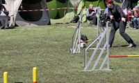Agi_haag_30-04-2017511