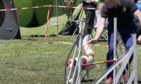 Agi_haag_30-04-2017530