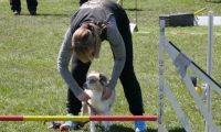 Agi_haag_30-04-2017536