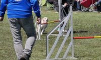 Agi_haag_30-04-2017545
