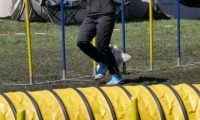 Agi_haag_30-04-2017550