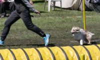 Agi_haag_30-04-2017552