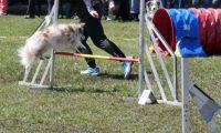 Agi_haag_30-04-2017558