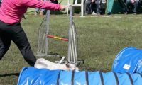Agi_haag_30-04-2017564