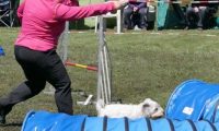 Agi_haag_30-04-2017565