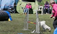 Agi_haag_30-04-2017567