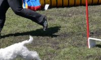 Agi_haag_30-04-2017570