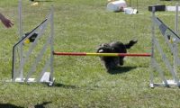 Agi_haag_30-04-2017573