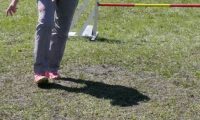 Agi_haag_30-04-2017576