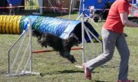 Agi_haag_30-04-2017579