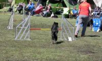 Agi_haag_30-04-2017582
