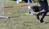 Agi_haag_30-04-2017605