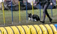 Agi_haag_30-04-2017609