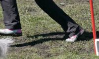 Agi_haag_30-04-2017616