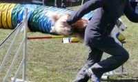 Agi_haag_30-04-2017619