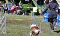 Agi_haag_30-04-2017621