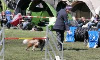 Agi_haag_30-04-2017623